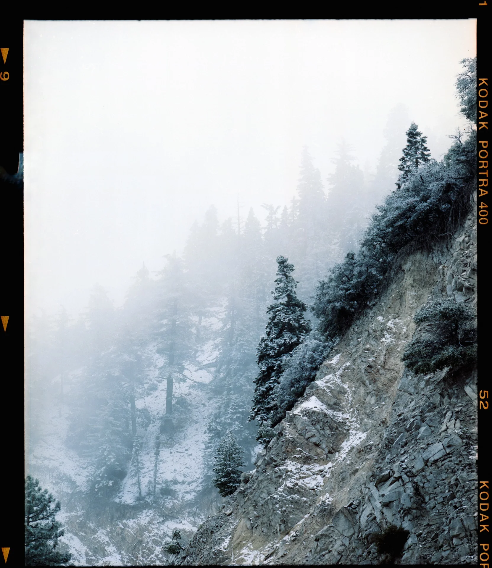 Landscape — Wrightwood, CA