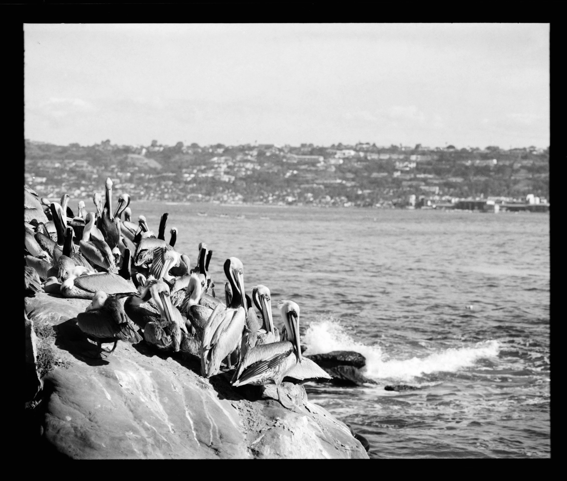 Landscape — San Diego, CA