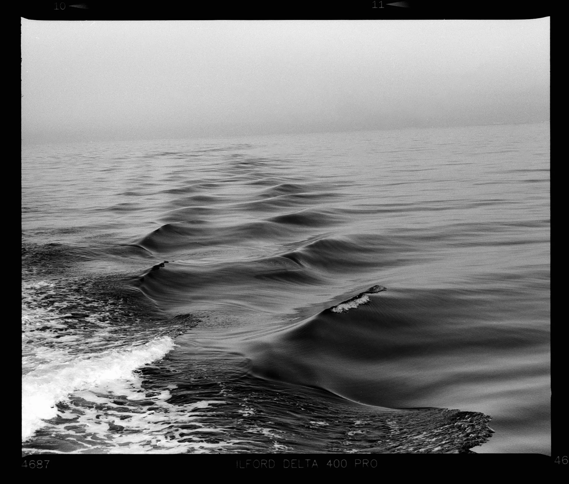 Landscape — Newport Beach, CA