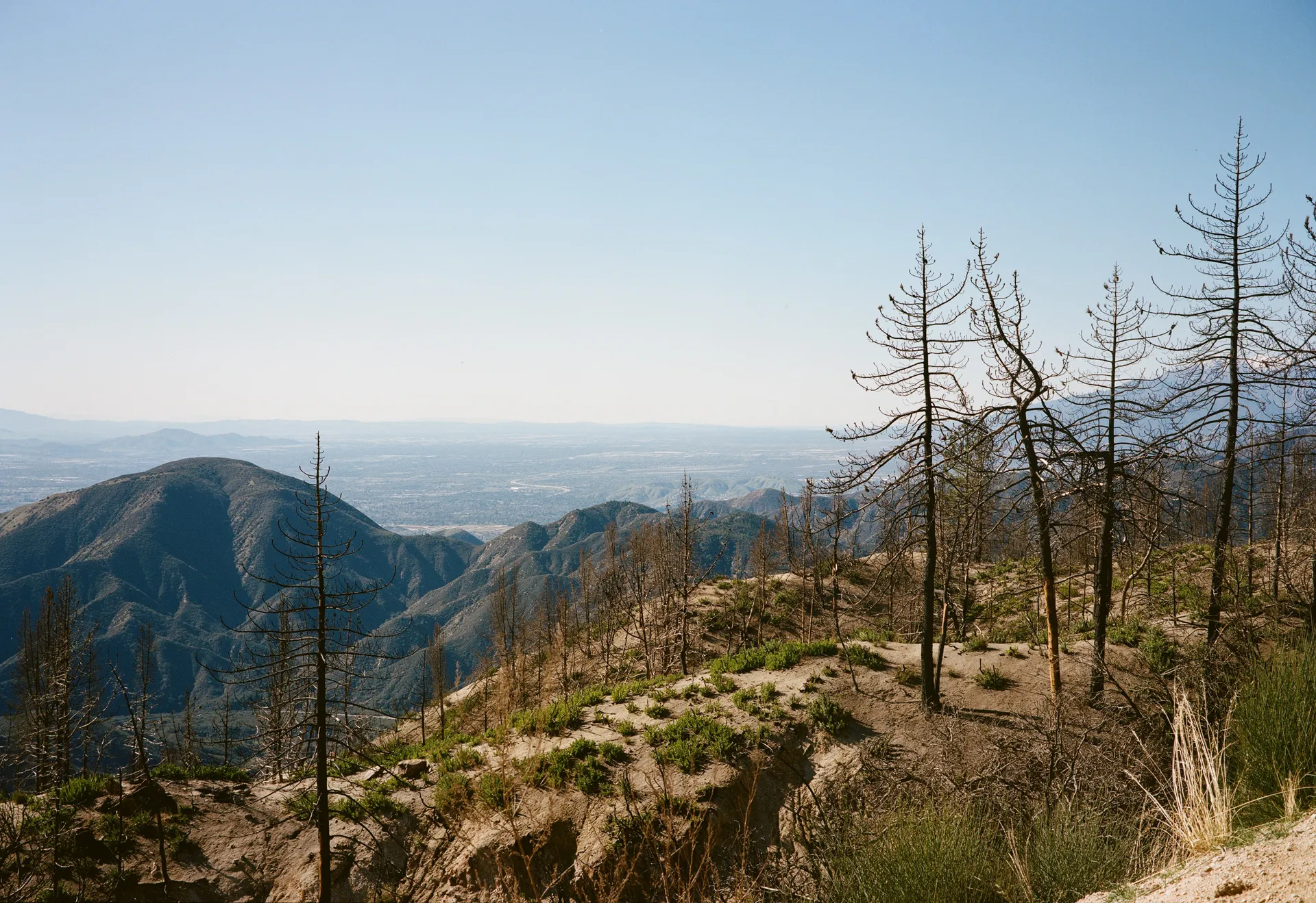 Landscape — Big Bear, CA
