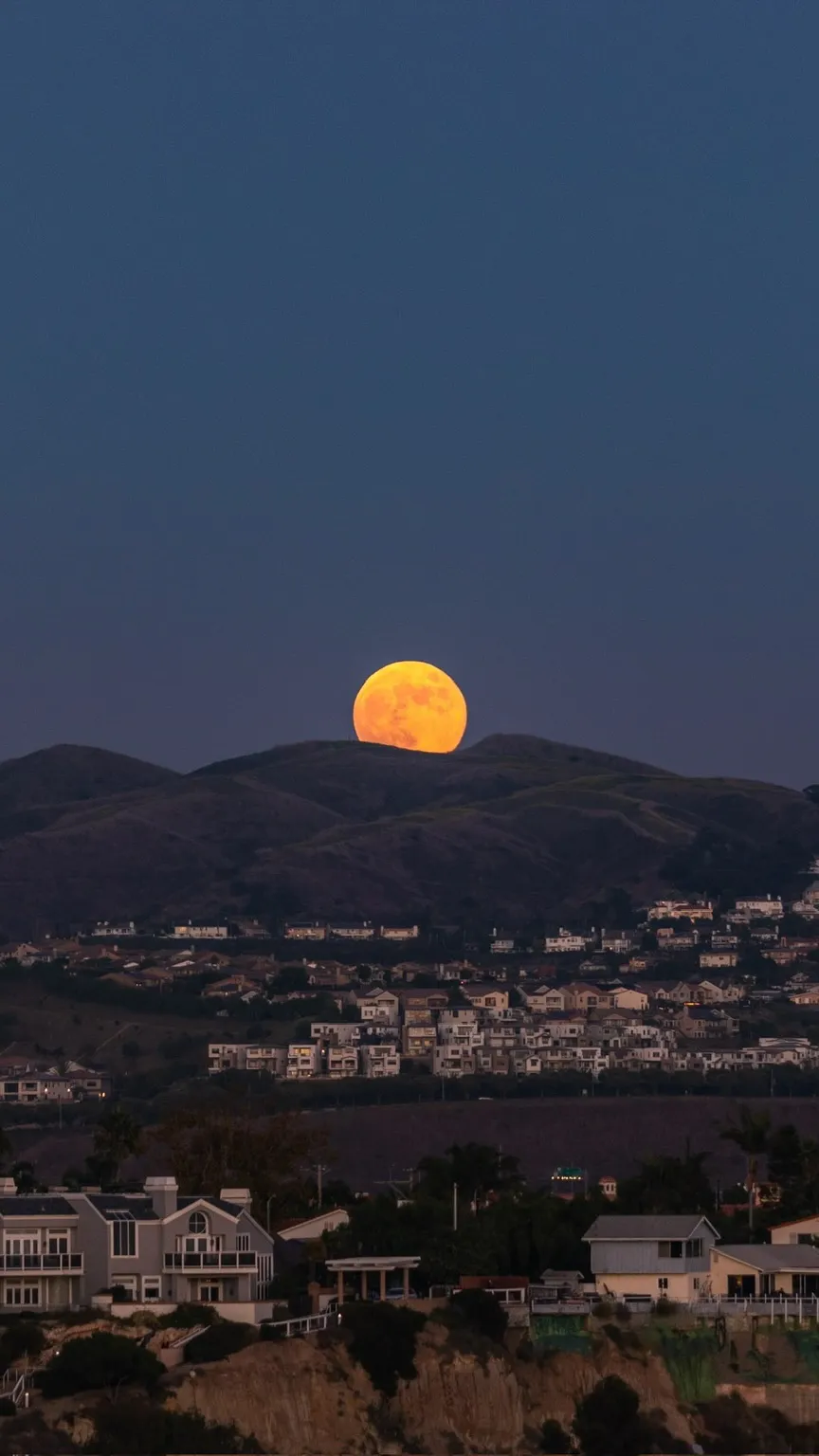 Landscape — Dana Point, CA