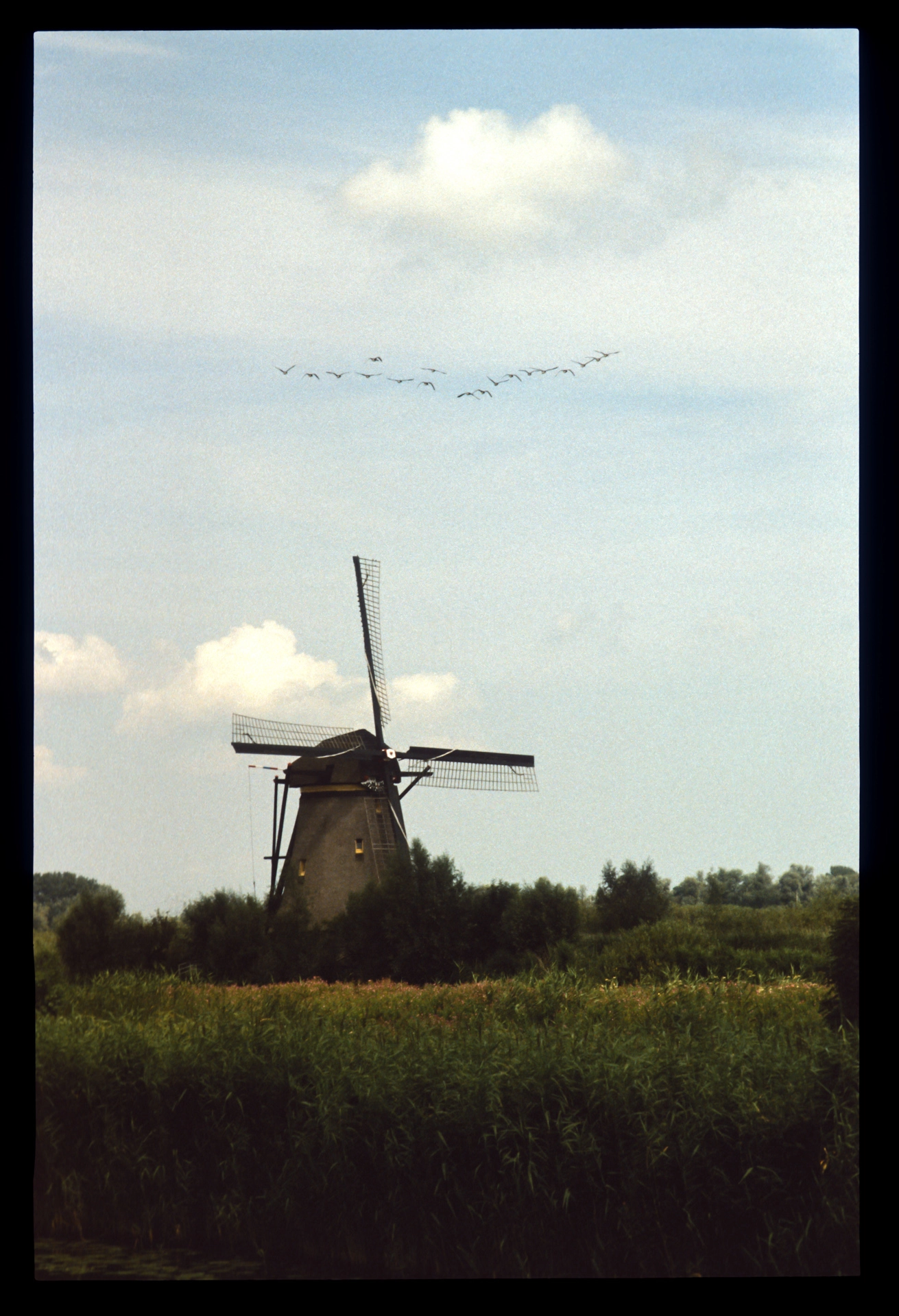 Landscape — Kinderdijk, NL