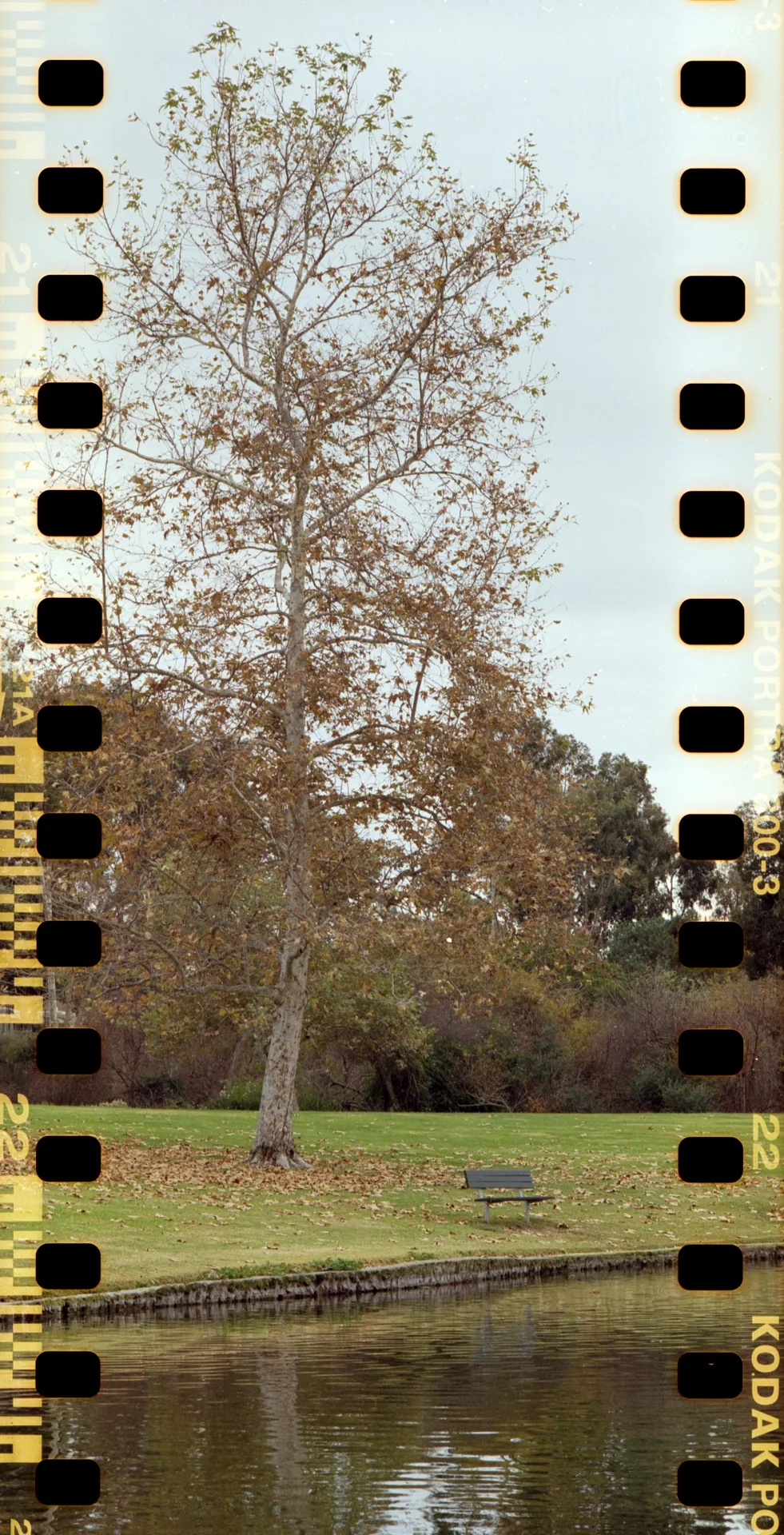 Landscape — Irvine, CA