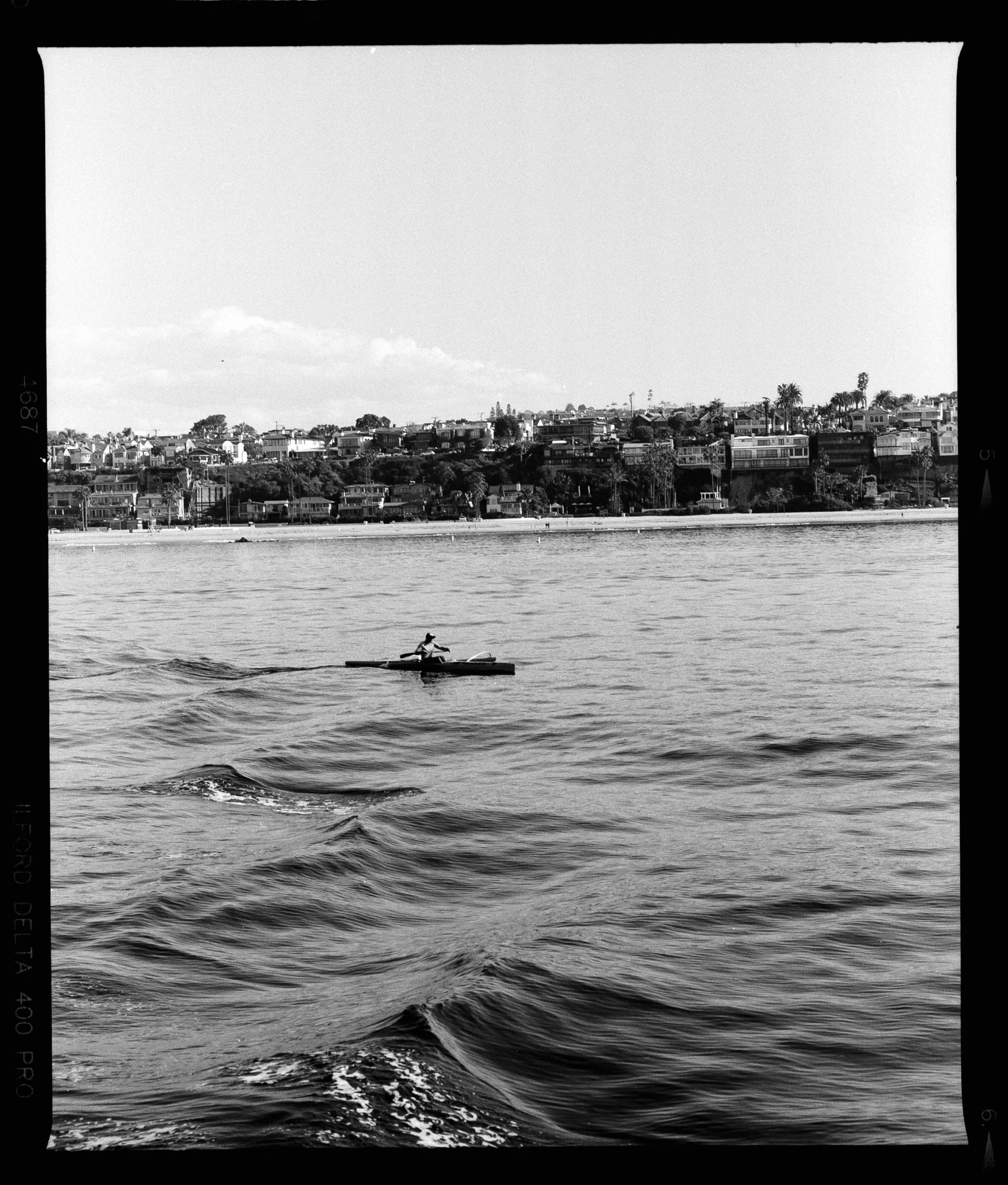 Landscape — Newport Beach, CA
