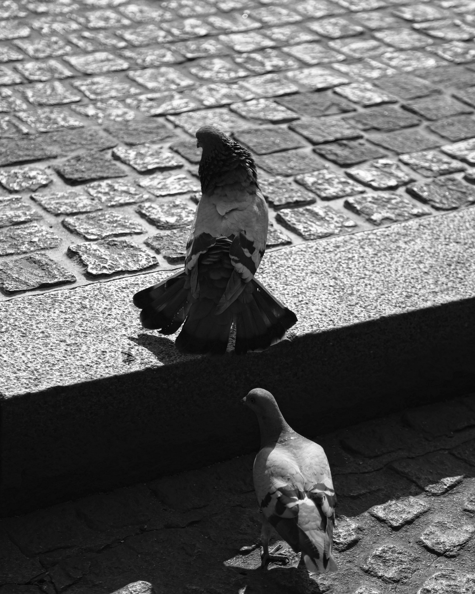 Street — Brussels, BE